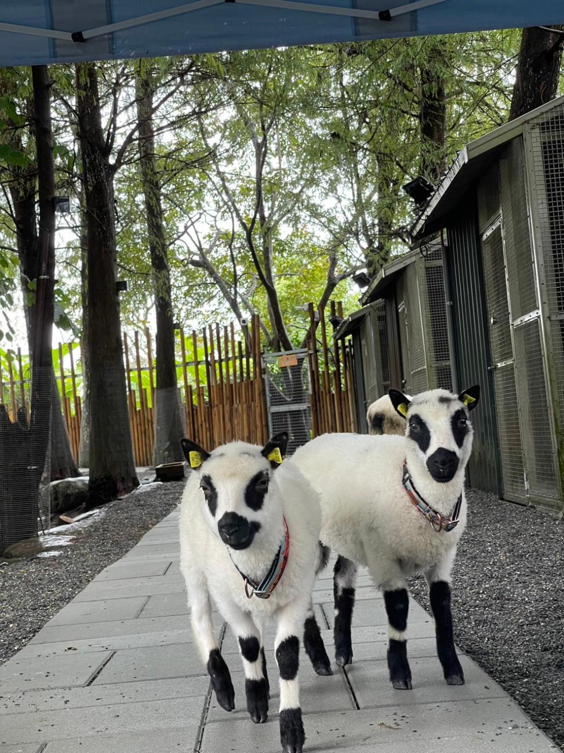 River Forest Leisure Farm Tungsan Kültér fotó