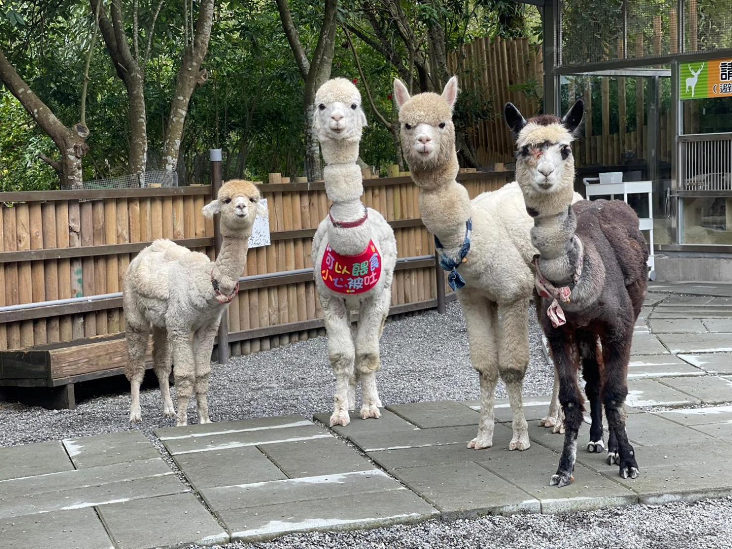 River Forest Leisure Farm Tungsan Kültér fotó